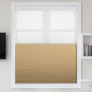 Motorized day and night honeycomb blinds